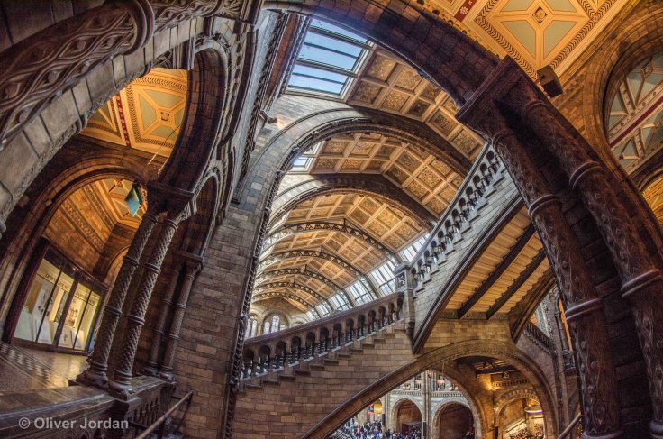 Natural History Museum.